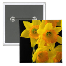 Delightful Yellow and Orange Daffodils Pins