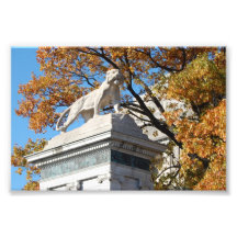 Delmar Loop Lioness Statue Photo Print