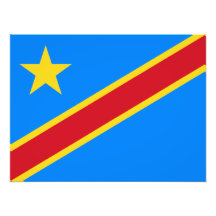 Democratic Republic of the Congo Flag Photo Art