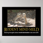 Demotivational Poster: Squirrel Mind Meld