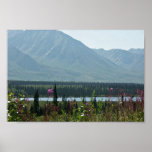 Denali Park Posters