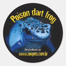 dendrobates adesivos