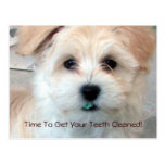 Dental Reminder Postcard