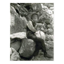 Description John Muir , American conservationist.  Post Cards