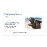 Desert Camel Business Card
