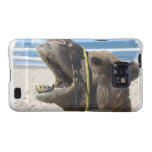 Desert Camel Samsung Galaxy Case