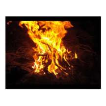 Desert Campfires Reading Patrick's Book Post Card