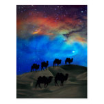 Desert caravan camels post card