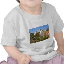 Desert Flower Tshirts