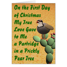 Desert Merry Christmas Card