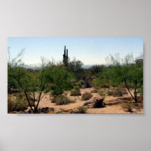 DESERT Poster