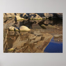 Desert Reflections Posters
