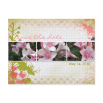 DesertBotanicals Postcard - graph floral