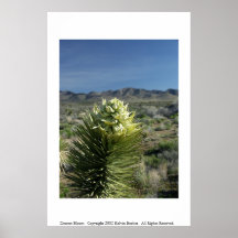 Dessert Bloom Posters