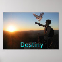 Destiny Posters