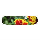 Detailed Photo Of Several American Marigold Flower Skateboard