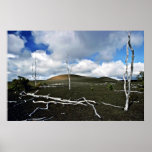 Devastation Area - Kiluaea Volcano, Hawaii Posters