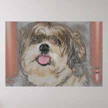 Devotion - Shih tzu Poster