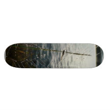 Dew Covered Spider Web Above Water Skateboard