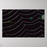 Dew-covered spider web poster