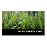 Dew Drop Grass Custom Business Cards