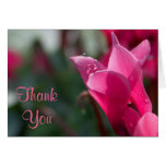 dew drops on flower thank you note card