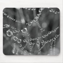 Dew Drops on Web Mouse Pad