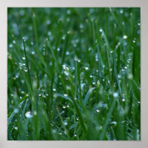 Dew I Posters
