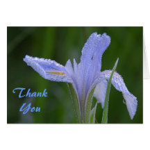dew on flower Thank You Note Card