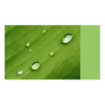 Dew on Leaf Nature Business Cards