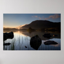 Dew on the  Reeds by the Lake Print