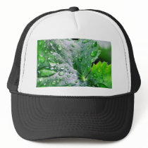 Dew Water Droplets Drops Mesh Hat