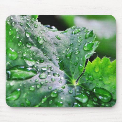 Dew Water Droplets Drops Mouse Pads