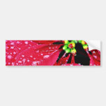 Dew Water Drops On Flower Bumper Stickers