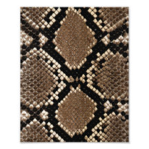 Diamond Back Rattlessnake Skin Art Photo