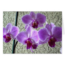 Diane's Orchids Card - Blank Inside