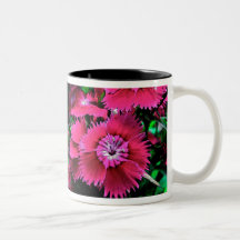Dianthus Coffee Mug