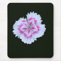 Dianthus Mousepads