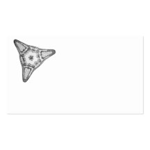 Diatom Business Card Template