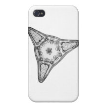 Diatom iPhone 4/4S Cover