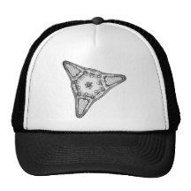 Diatom Trucker Hat