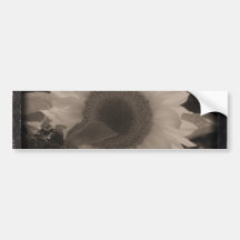 Diatrope Sunflower IV Bumper Stickers
