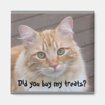 Did you buy my treats? Cat magnet