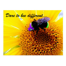 Different Post Card