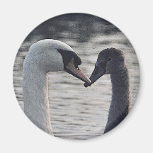 digitally manipulated swan magnet