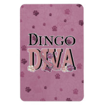 Dingo DIVA Rectangle Magnets