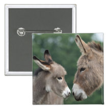 Dinky donkey button