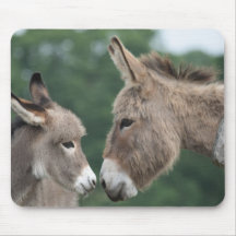 Dinky donkey mousepads