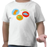 Dinosaur Toddler Kids Tshirt Tee Boy Girl