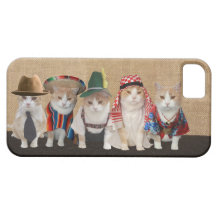 Diplomat Cats